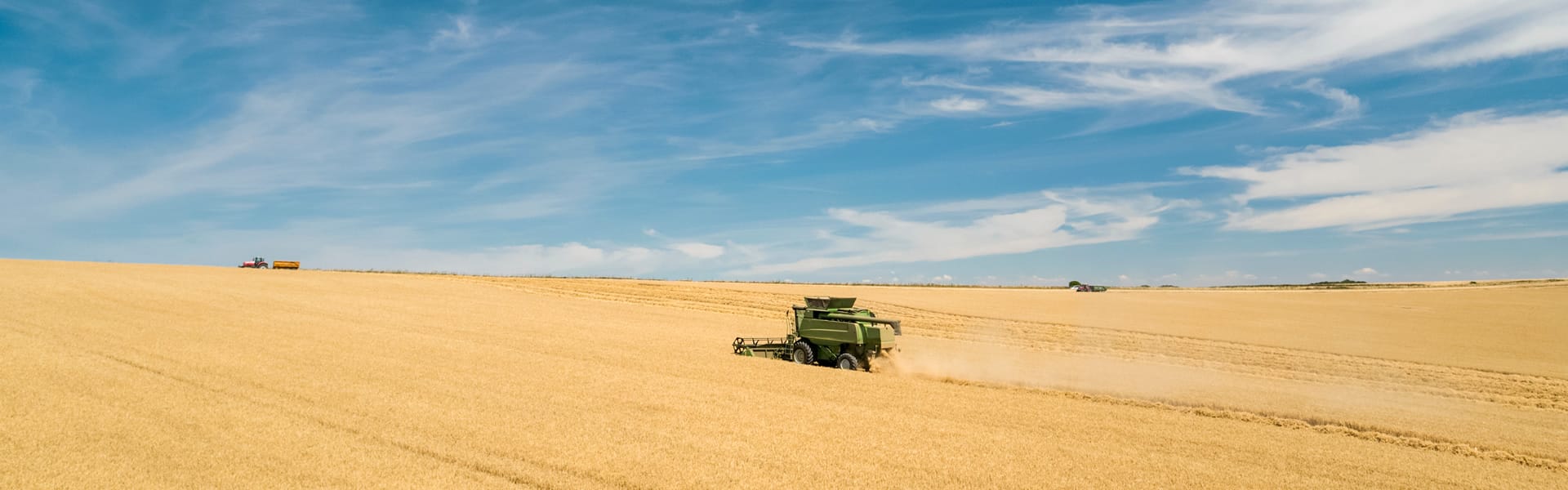 Combine in a wheat field