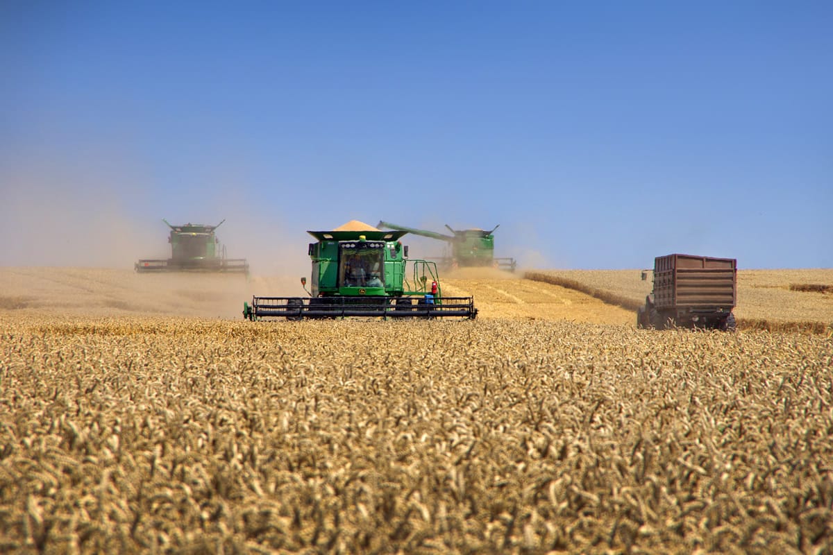 Row of combines working during fall harvest.
