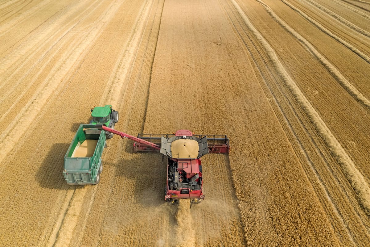 Combine and truck working a harvest.